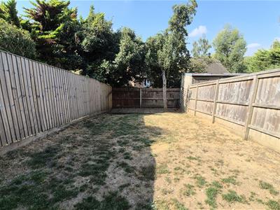 Picture 26